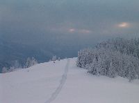 Bild 10 (292 Bildaufrufe)