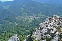 Bild 1 (274 Bildaufrufe)