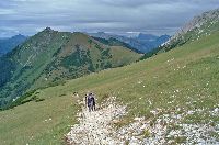 Bild 4 (229 Bildaufrufe)