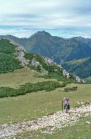 Bild 5 (220 Bildaufrufe)