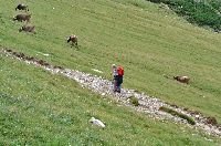 Bild 6 (212 Bildaufrufe)