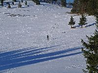 Bild 5 (292 Bildaufrufe)