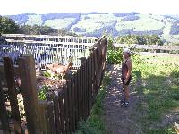 Bild 4 (243 Bildaufrufe)