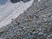 Bild 26 (253 Bildaufrufe)