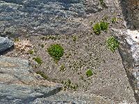 Bild 29 (251 Bildaufrufe)
