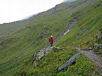 Bild 42 (226 Bildaufrufe)
