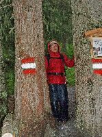 Bild 43 (294 Bildaufrufe)
