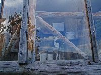 Bild 8 (281 Bildaufrufe)