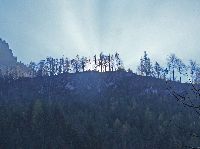Bild 1 (253 Bildaufrufe)