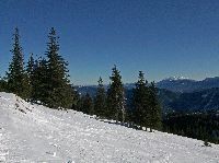 Bild 1 (195 Bildaufrufe)