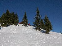 Bild 3 (196 Bildaufrufe)