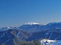 Bild 6 (240 Bildaufrufe)