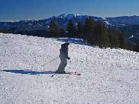 Bild 9 (195 Bildaufrufe)