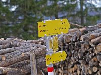 Bild 3 (194 Bildaufrufe)