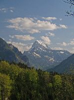 Bild 27 (288 Bildaufrufe)