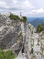 Bild 3 (303 Bildaufrufe)