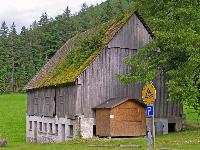 Stumpfmauer (281 Bildaufrufe)
