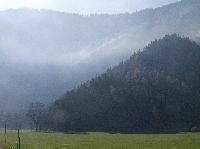 Bild 1 (181 Bildaufrufe)