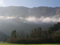 Bild 2 (166 Bildaufrufe)
