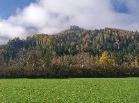 Bild 4 (216 Bildaufrufe)