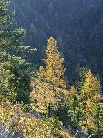 Bild 7 (158 Bildaufrufe)