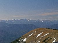 Bild 25 (236 Bildaufrufe)