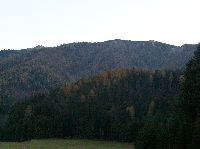 Bild 32 (195 Bildaufrufe)