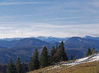 Bild 6 (213 Bildaufrufe)