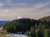 Bild 7 (232 Bildaufrufe)