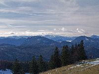 Bild 17 (250 Bildaufrufe)