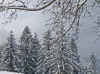 Bild 6 (248 Bildaufrufe)