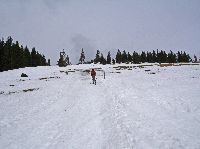 Bild 4 (250 Bildaufrufe)