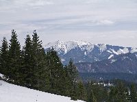 Tirolerkogel (216 Bildaufrufe)