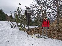 Tirolerkogel (234 Bildaufrufe)