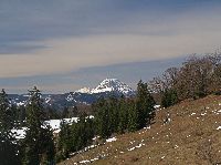 Bild 3 (233 Bildaufrufe)