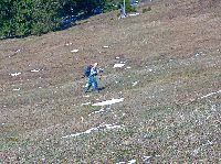 Bild 4 (242 Bildaufrufe)