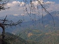 Bild 3 (243 Bildaufrufe)