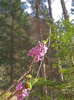 Windberg (211 Bildaufrufe)