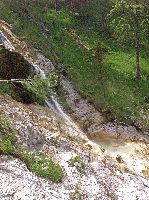 Bild 5 (240 Bildaufrufe)