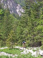Bild 9 (245 Bildaufrufe)