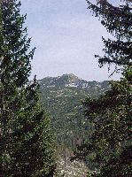 Hirzeck, Dürrenstein (225 Bildaufrufe)