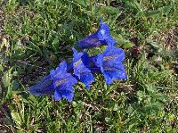 Bild 14 (299 Bildaufrufe)