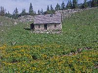 Dürrenstein, Hirzeck (185 Bildaufrufe)