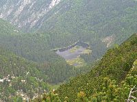 Bild 21 (213 Bildaufrufe)
