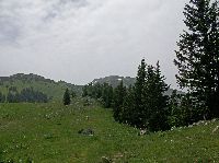 Bild 29 (234 Bildaufrufe)