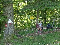 Bild 1 (248 Bildaufrufe)