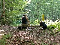 Bild 3 (232 Bildaufrufe)