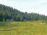 Bild 7 (248 Bildaufrufe)