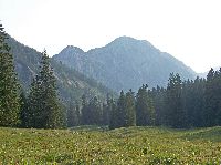 Bild 8 (319 Bildaufrufe)