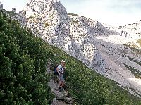 Bild 15 (280 Bildaufrufe)